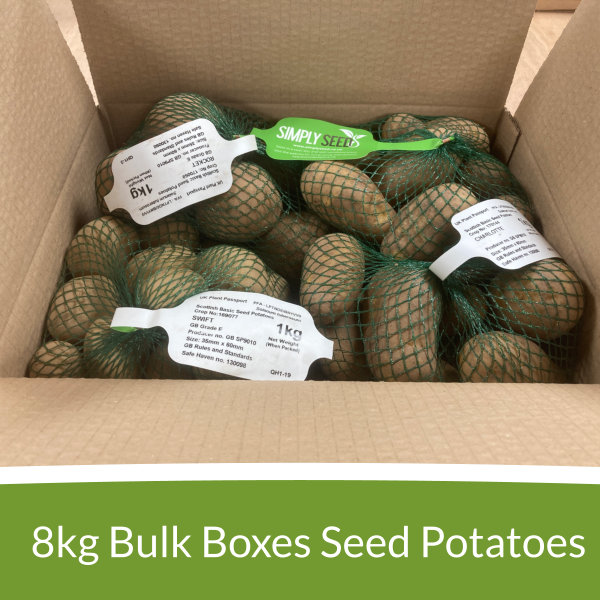 Buy in Bulk, by the box.